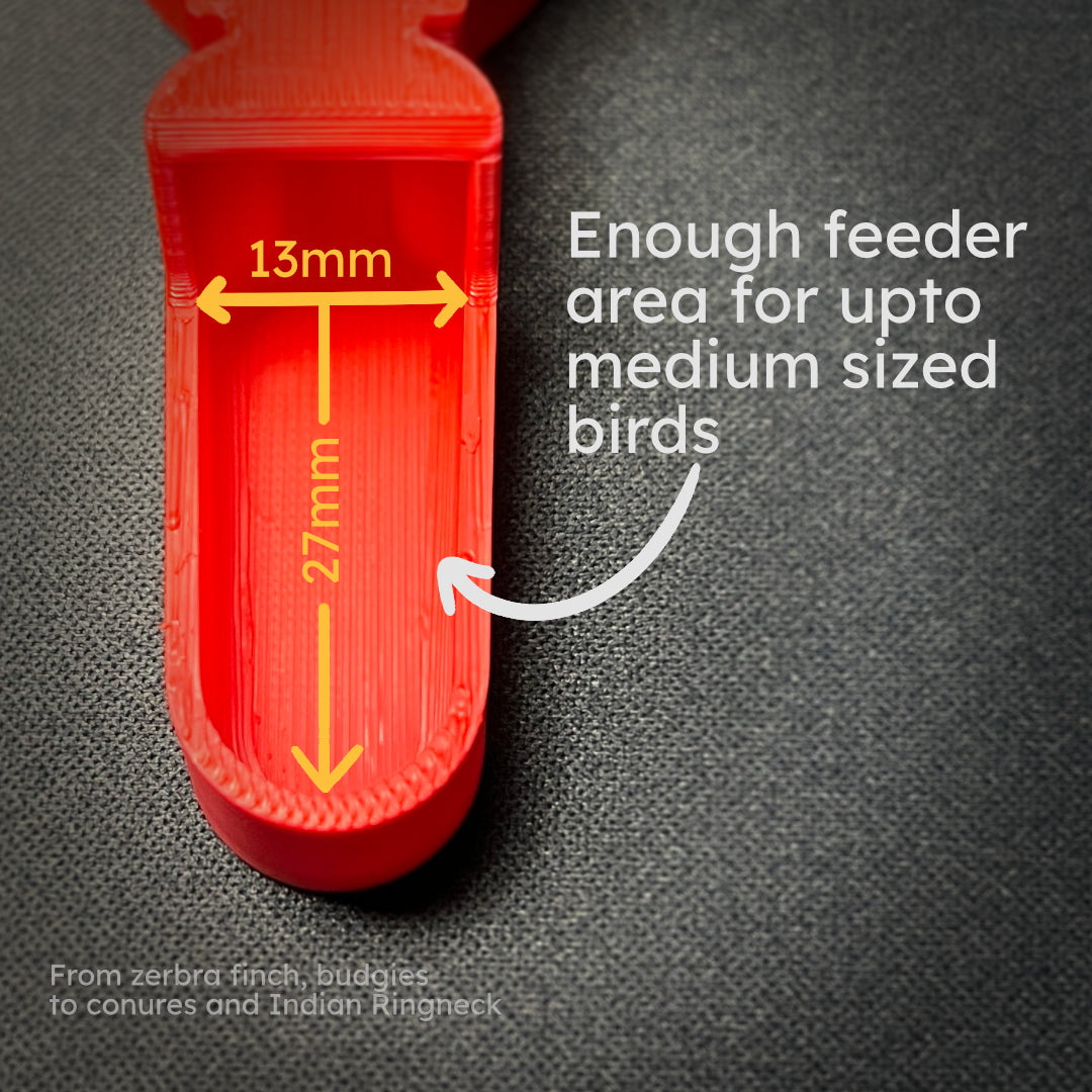 Bird Water Feeder - 7 units